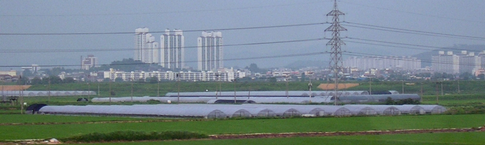 Apartments in Daejon from the train. The foreground domes contain crops.