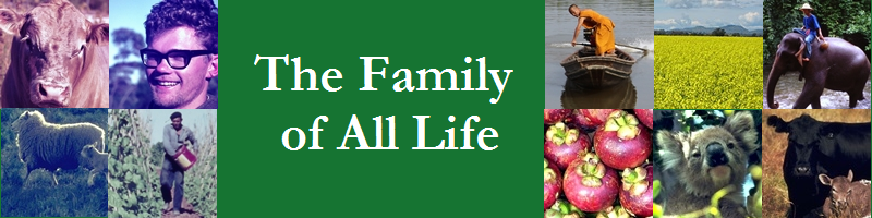 Family of All Life2
