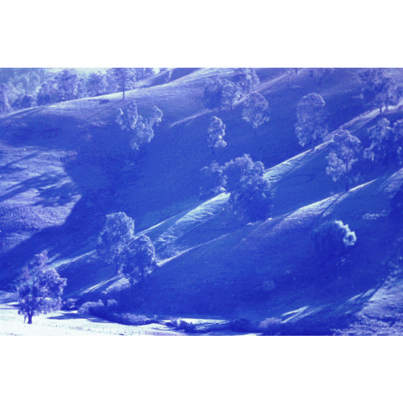 Gif 21 800